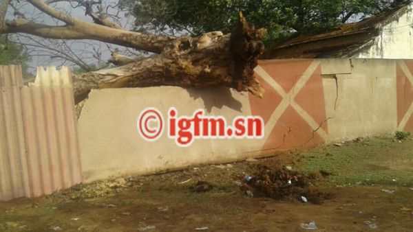 Koungueul : Des blessés et des dégâts matériels après le passage d'un vent violent