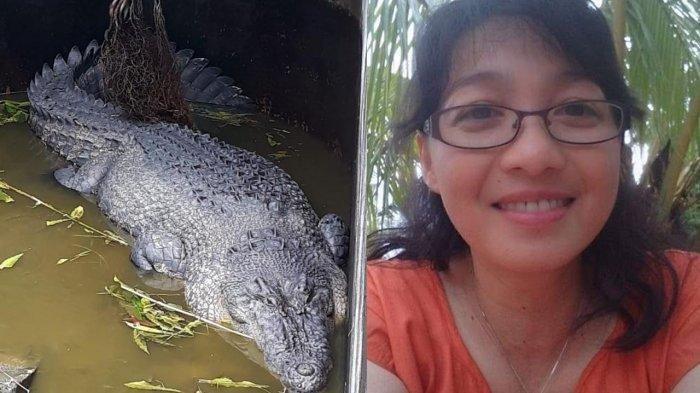 Une indonésienne dévorée par un crocodile apprivoisé
