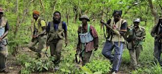 Casamance - Le pire évité de justesse entre l’armée sénégalaise et l’armée gambienne à Trankil