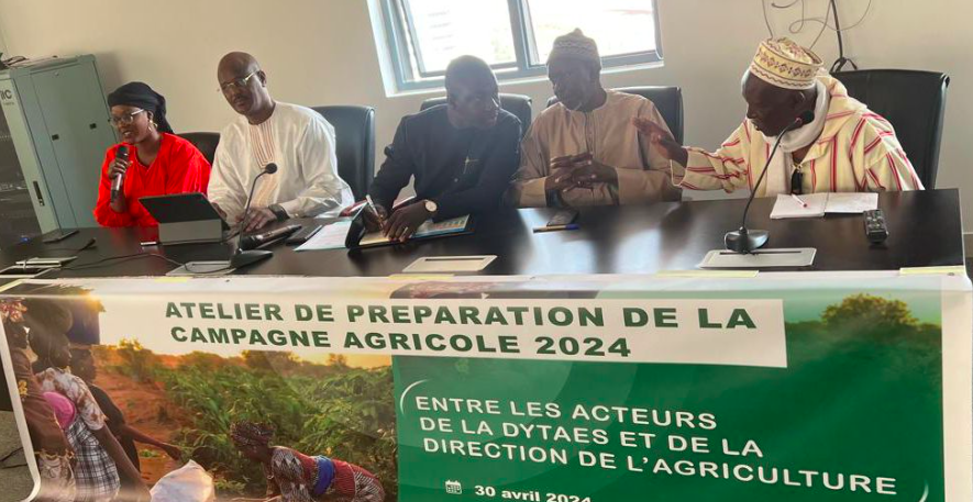 Campagne agricole 2024 au Sénégal : Les acteurs de l’agroécologie s\'y mettent déjà 