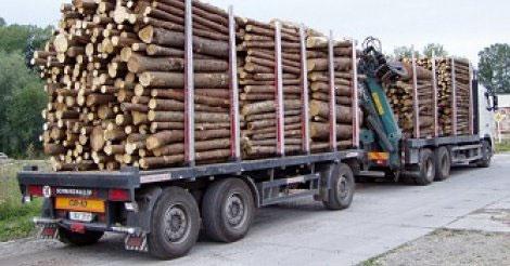 Trafic international de bois : deux camions arrêtés encore à Sindian