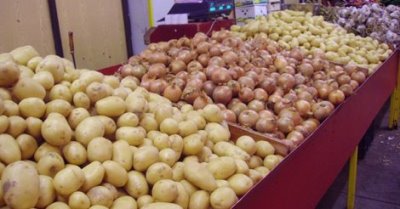 Oignon et pomme de terre : Alioune Sarr rassuré par le niveau de production