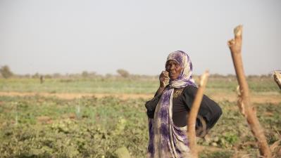 Mauritanie : d'anciens réfugiés au Sénégal réclament leurs terres