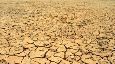 L’ONU alerte sur la sécheresse et la dégradation des terres