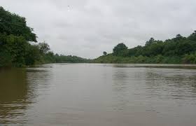 Alerte - Le fleuve Gambie se tarit à Kédougou