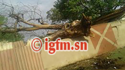 Fortes pluies à Kaffrine : les dégâts en images