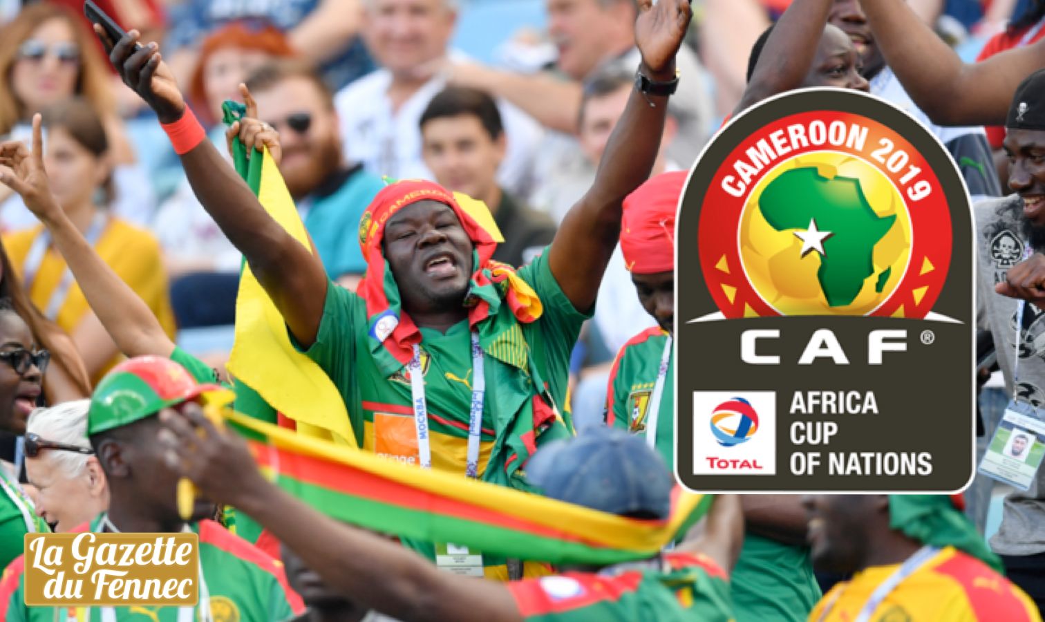 Foot : la CAN 2019 retirée au Cameroun (médias)