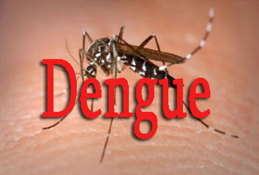 Maladie de la Dengue à Fatick : le bilan passe de 4 à 6 cas