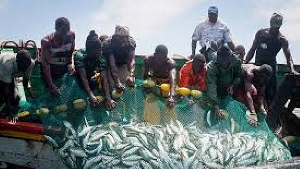 Exploitation gazière : l’Etat invité à anticiper les menaces sur la pêche