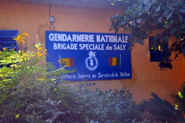 Saly : Des voleurs de «Ladoum» ouvrent le feu sur des gendarmes