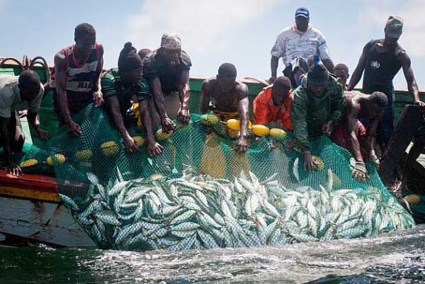 Près de 12000 Sénégalais accusés de pêche illicite expulsés de Mauritanie