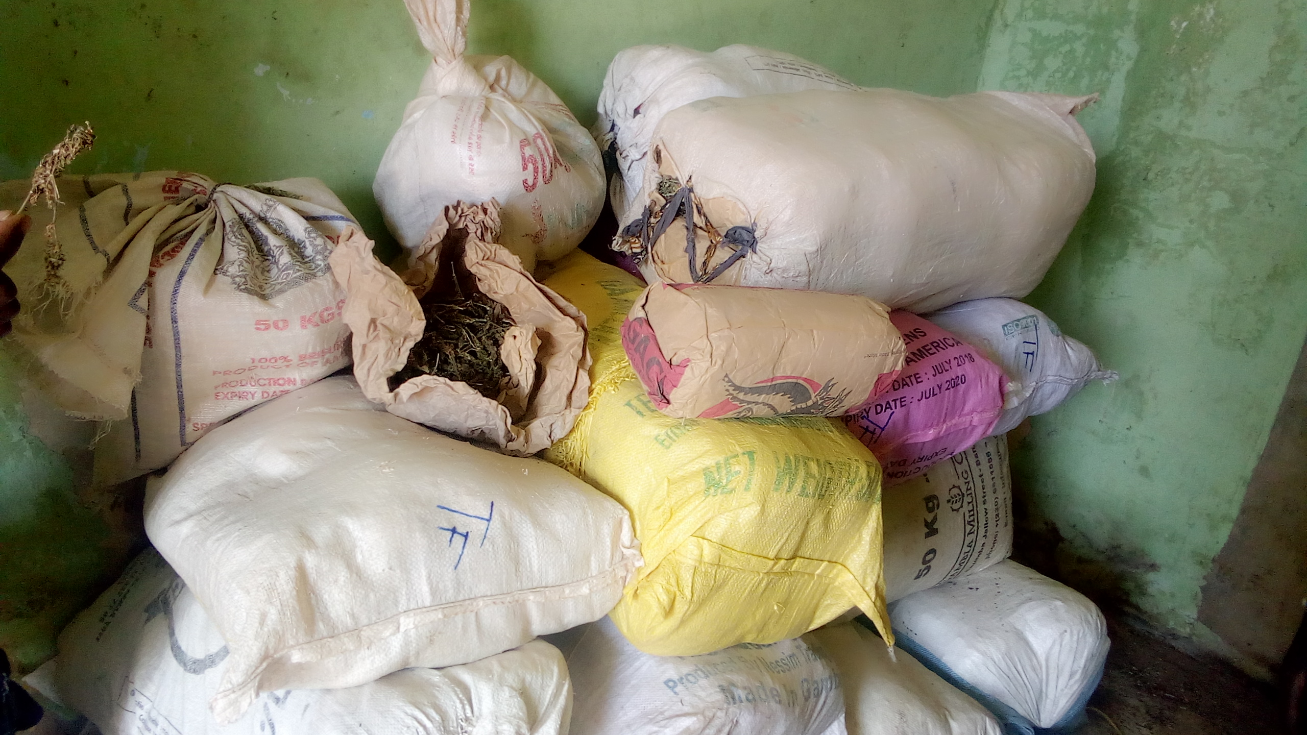 Kolda : la Douane saisit plus de 337kg de chanvre indien