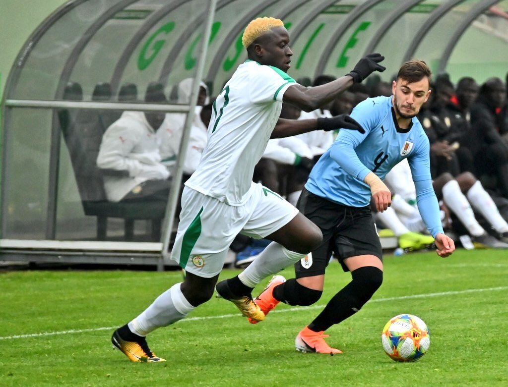 Mondial U20 : le Sénégal perd son premier match de préparation