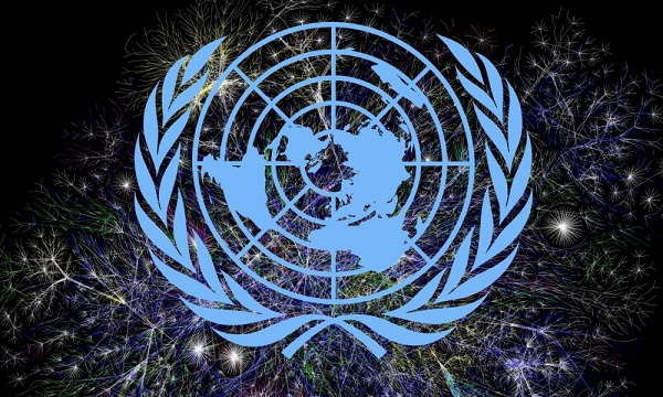 Qui du Kenya ou de Djibouti siégera au Conseil de sécurité de l'ONU?