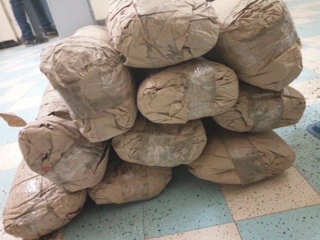 Tambacounda : 236,7 kilogrammes de chanvre indien saisis par la police