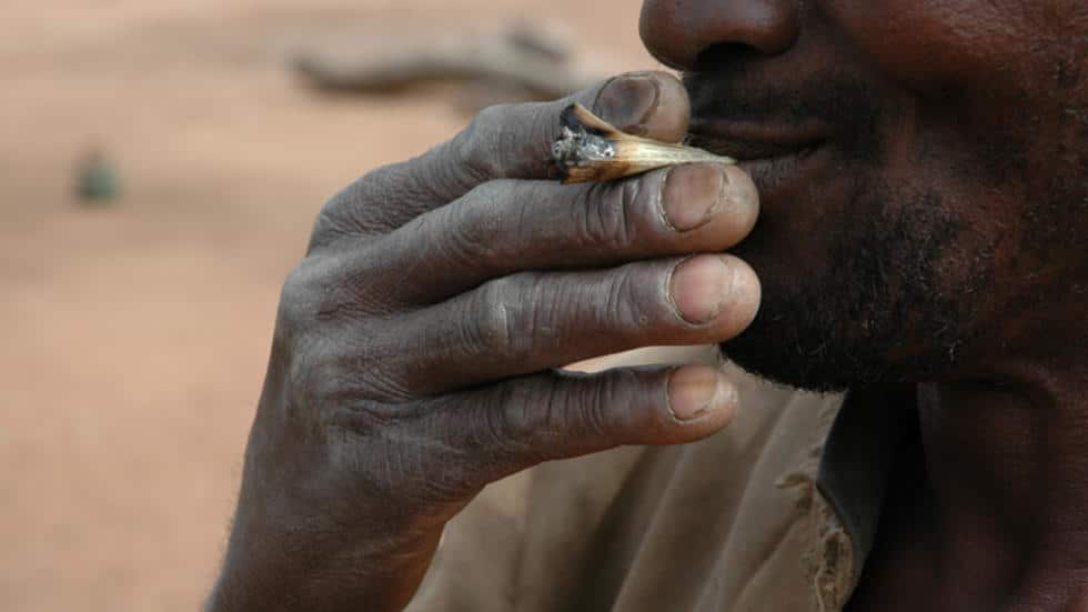 Afrique: le marché de la drogue explose, état des lieux