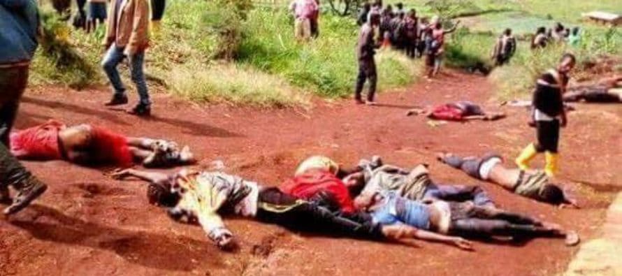 Cameroun: 22 villageois dont 14 enfants tués en zone anglophone