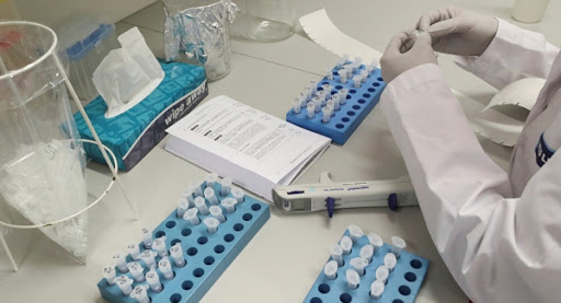 Coronavirus au Sénégal : aucun nouveau cas, 6 testés négatifs