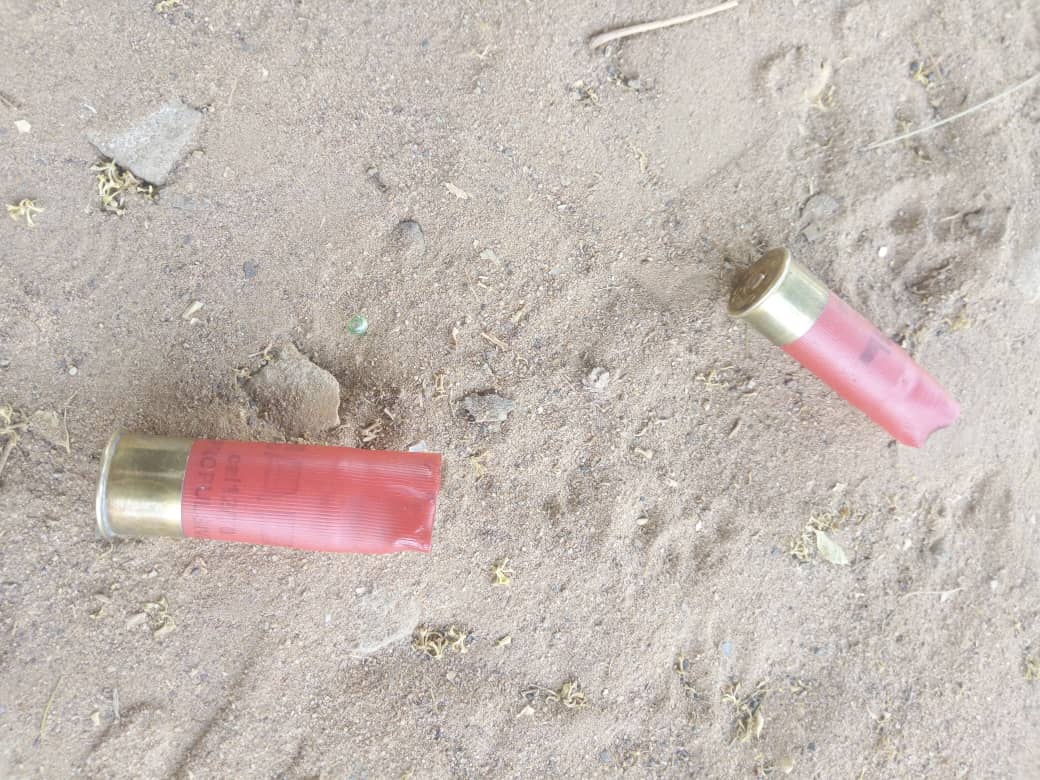 Lendemain de la nuit d’émeutes à Ziguinchor : Des douilles de balles ramassées dans les rues