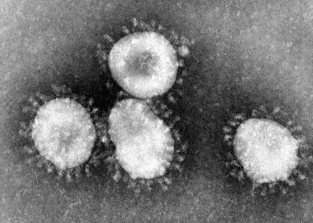 Covid-19, point du jour: le virus perd du terrain