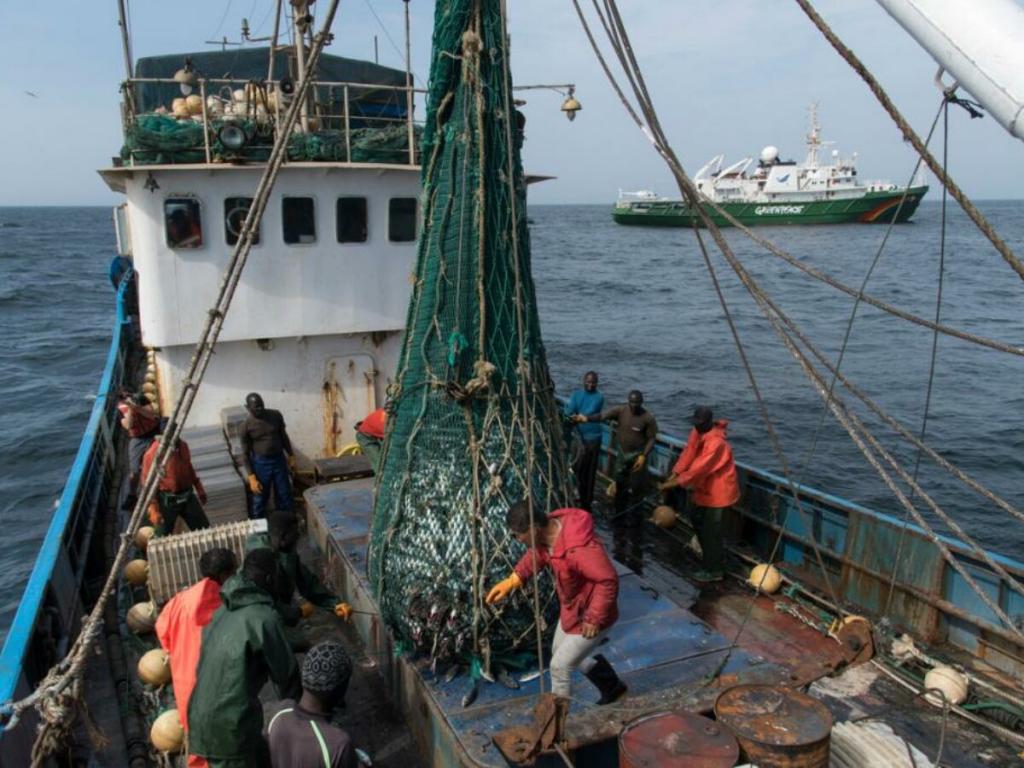 3 marins chinois emprisonnés pour violence sur un pêcheur Sénégalais