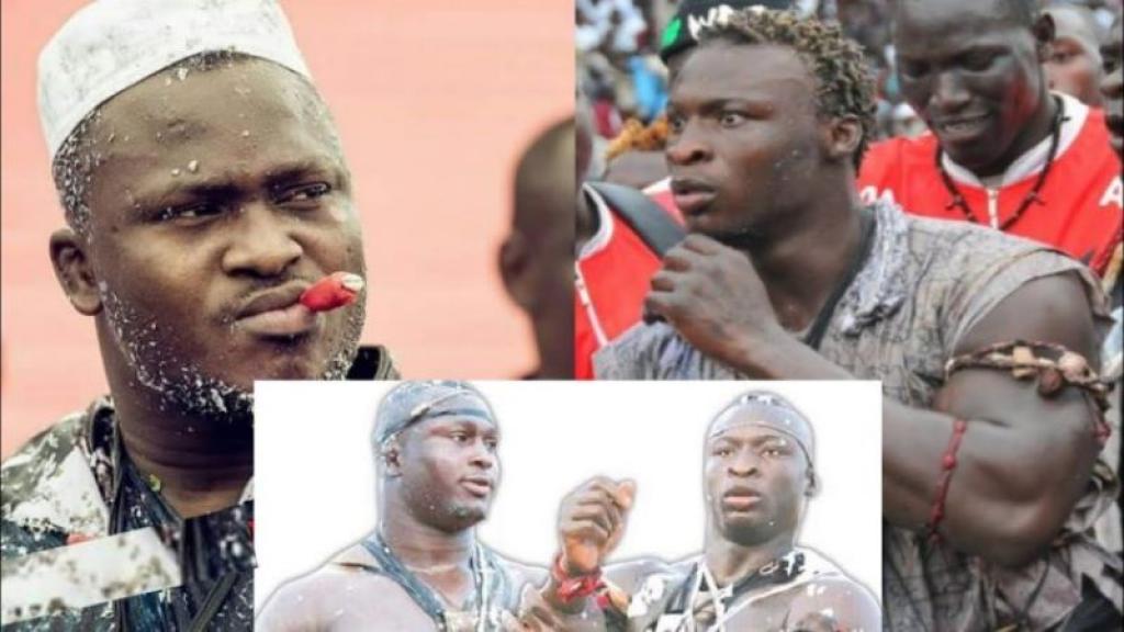 Le combat Modou Lo-Ama Baldé délocalisé en Gambie ?