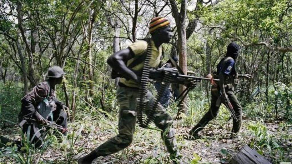 Casamance : Des échanges de tirs entre militaires et individus armés (DIRPA)