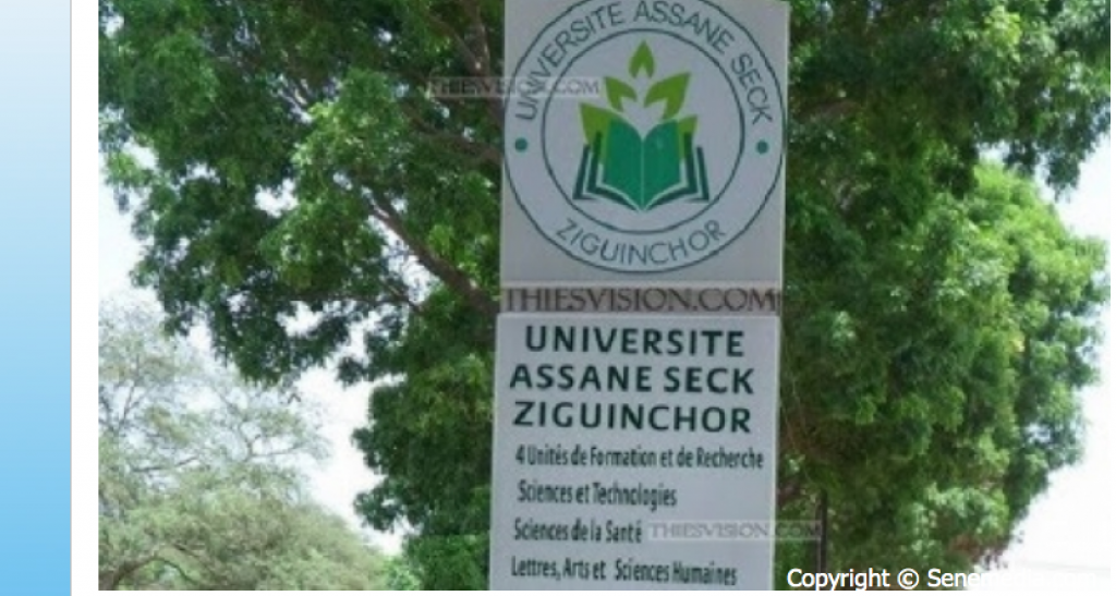Université Assane Seck de Ziguinchor : L’intersyndicale fusille le ministre Cheikh Omar Hann
