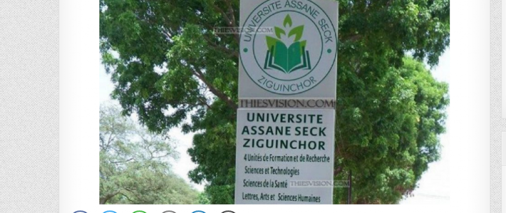 Ziguinchor : Profs, chercheurs, enseignants des universités de Ziguinchor, Saint-Louis, de Dakar en conférence sur les Maths...
