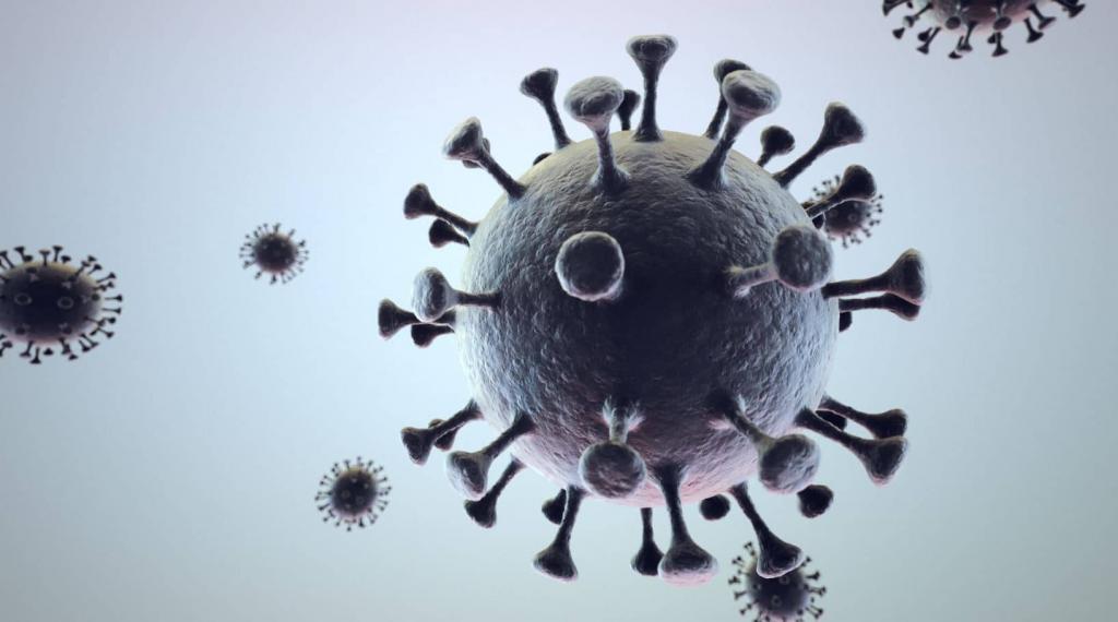 Coronavirus : 26 Nouveaux cas, 10 graves...