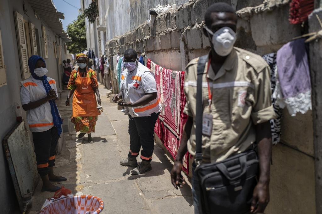 Coronavirus au Sénégal : les chiffres du jour...