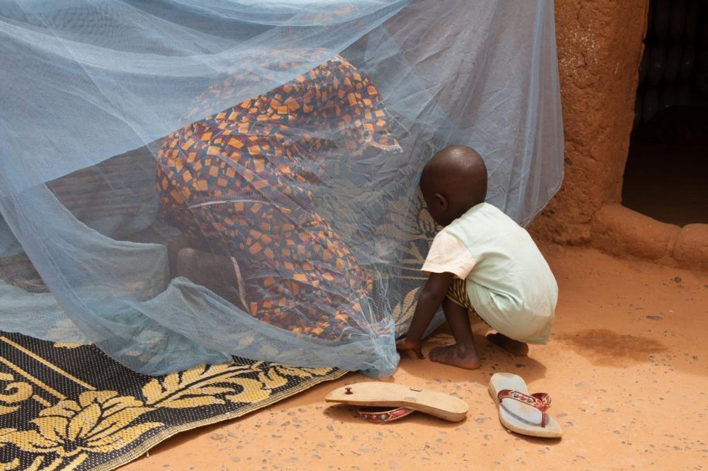 Paludisme: forte hausse des décès en raison de la pandémie, le vaccin en ligne de mire