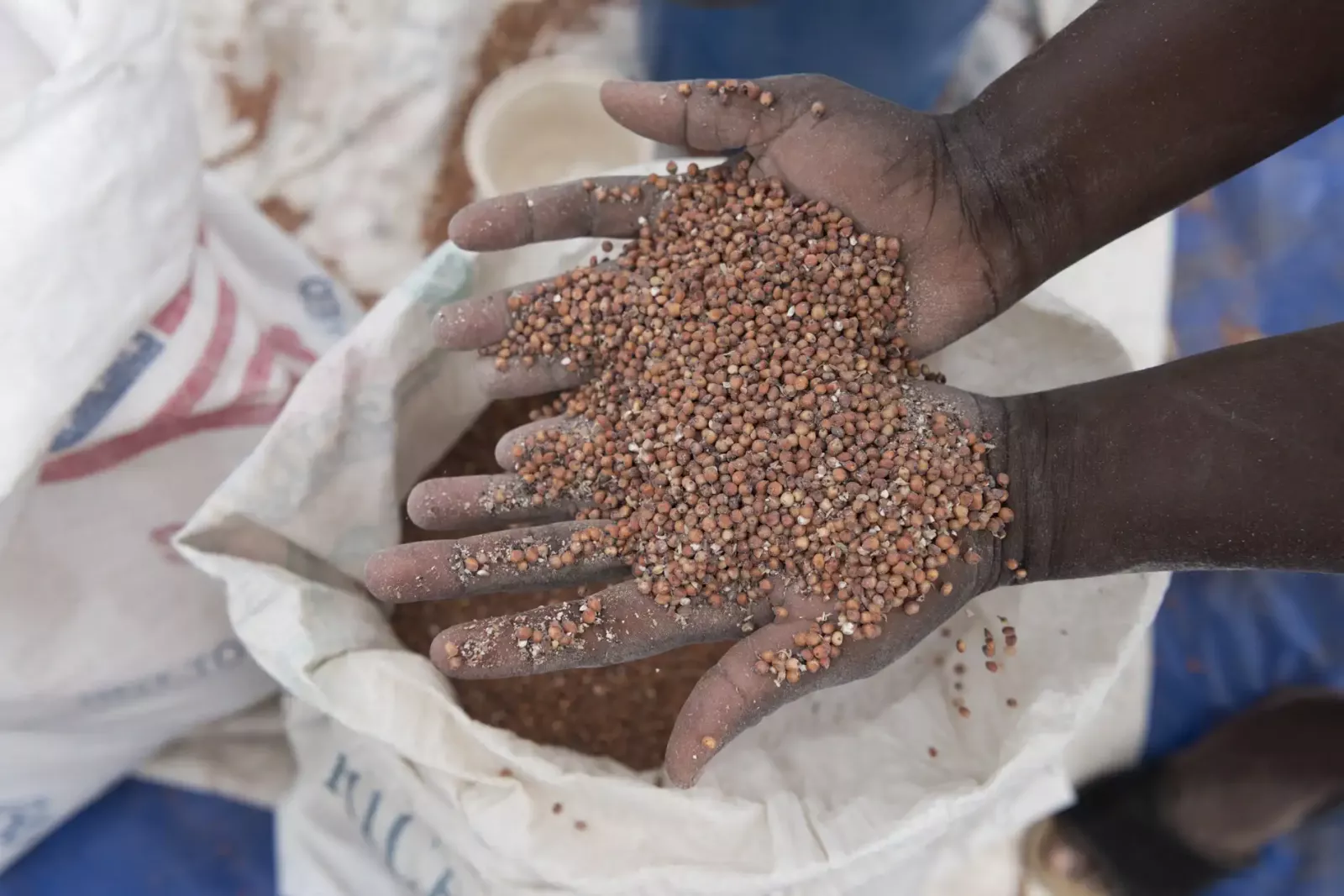 Afrique-Flambée des prix alimentaires : l'alerte du FMI