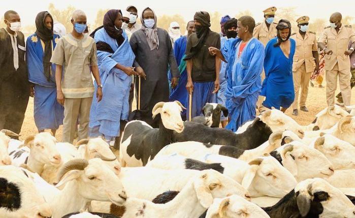Tabaski 2022 : Le Sénégal suspend ses taxes sur le bétail pour les éleveurs mauritaniens
