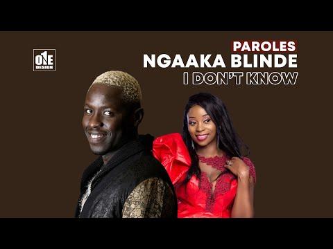« I Don’t Know » : Regardez le nouveau clip de Ngaaka Blindé feat Adiouza