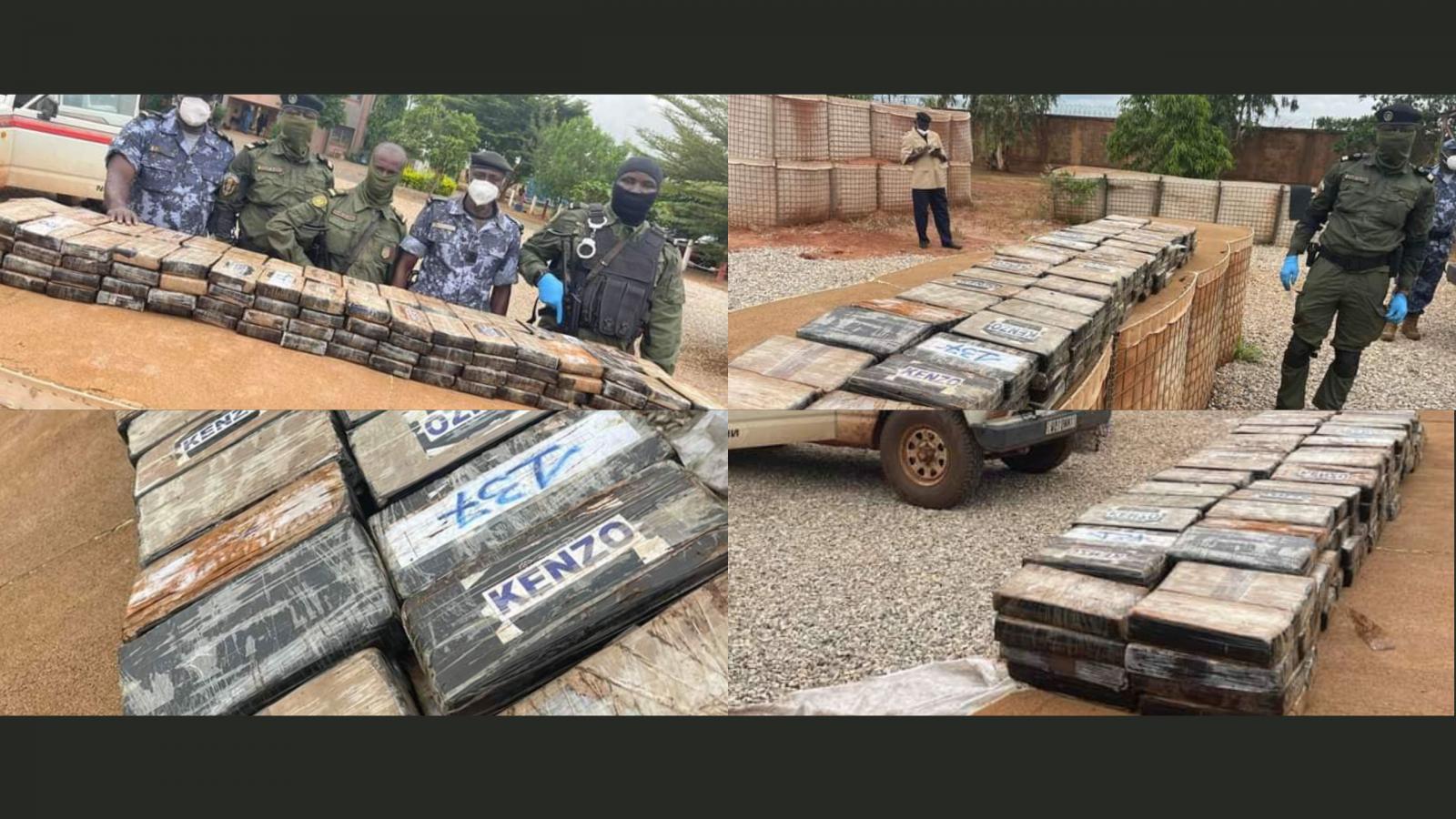Cocaïne : Après le Sénégal, saisie d'une valeur de 8 milliards au Mali
