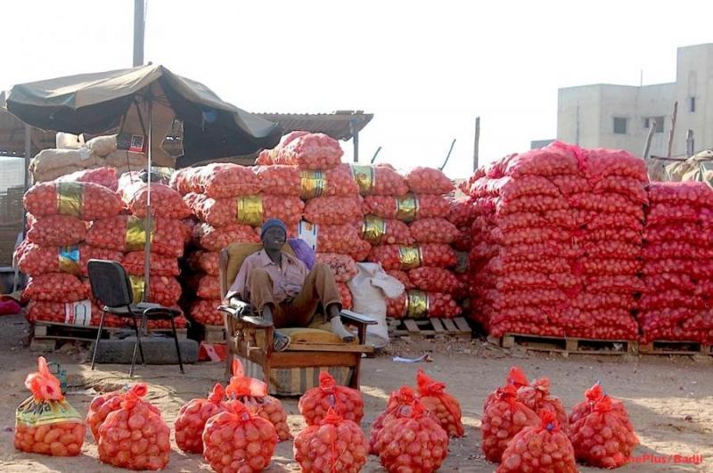 Flambée des prix de l'oignon à Touba: l'ascosen accuse...