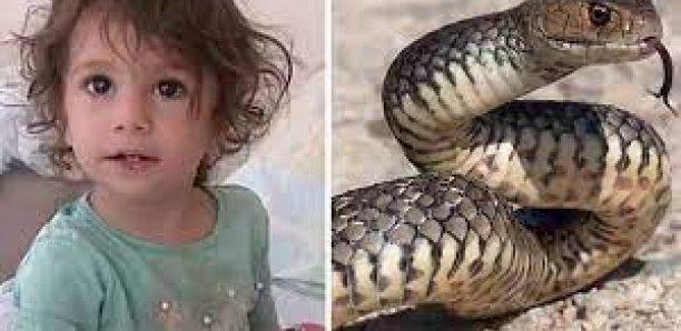 Turquie : Attaquée par un serpent, une fillette de 2 ans tue le reptile… en le mordant !