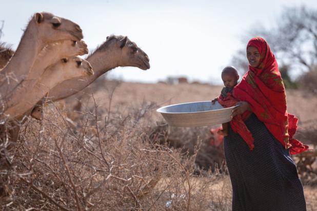 La Corne de l’Afrique vers une cinquième année de sécheresse consécutive...