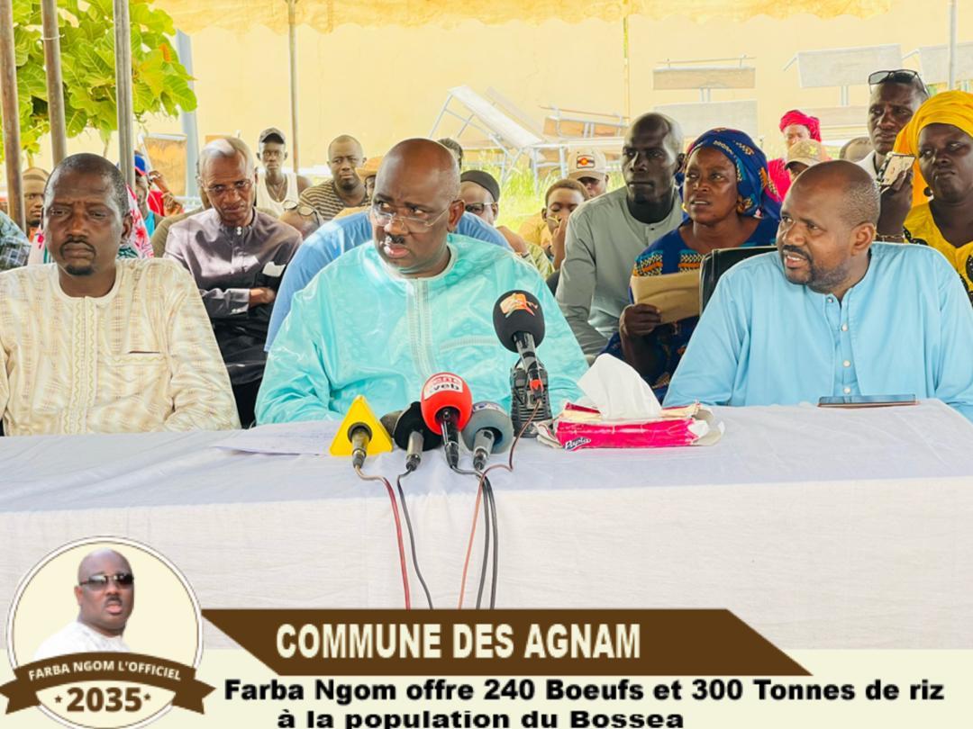 Gamou 2022 - Farba NGOM offre 240 boeufs, 300 tonnes de riz aux  populations du Bosséa....