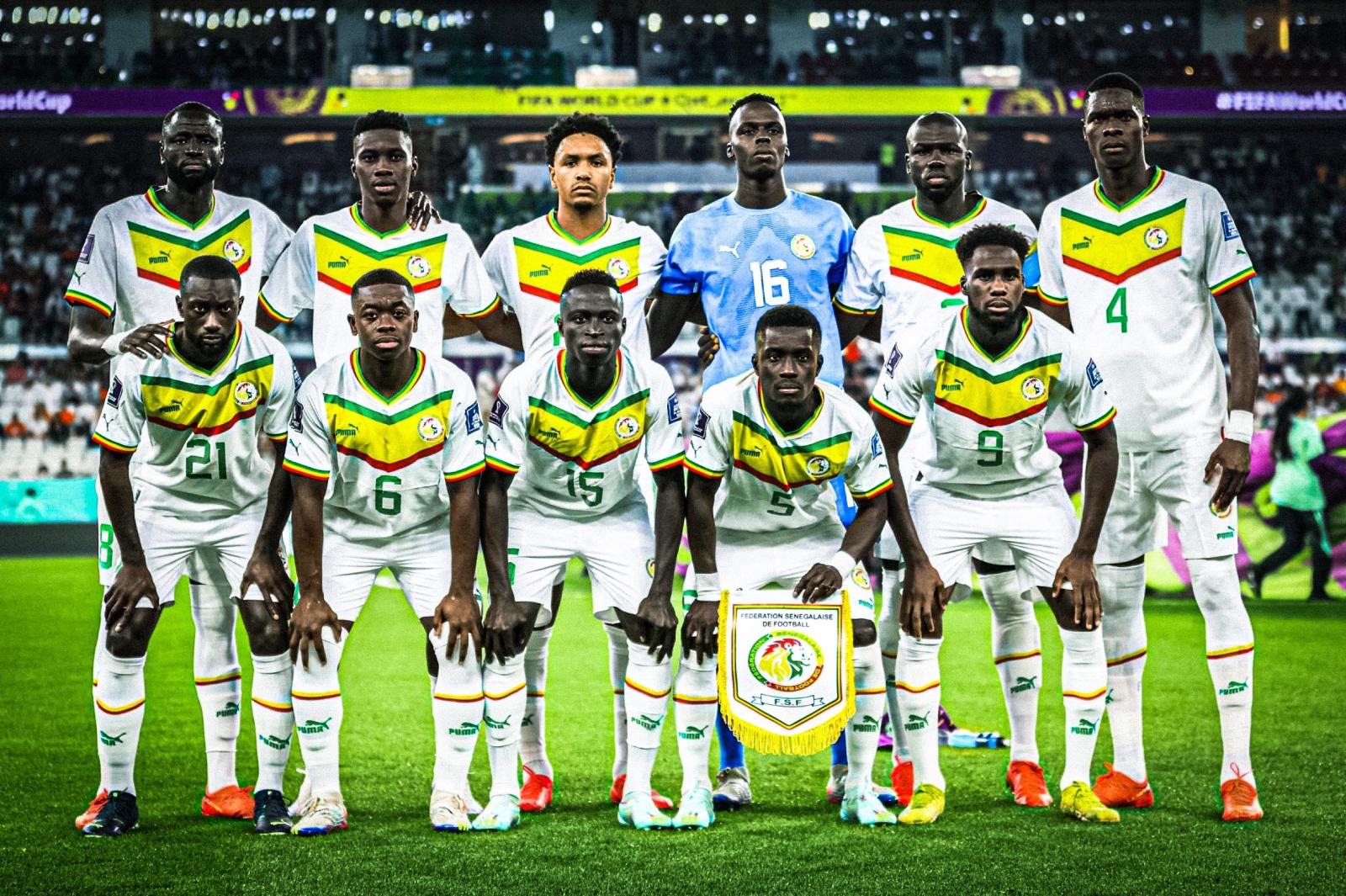 Coupe du Monde 2022 : les Lions entre regrets et espoir 