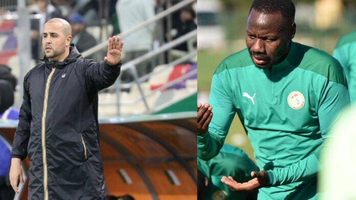 Algérie vs Sénégal : Bougherra-Thiaw, deux coachs au profil un peu similaire