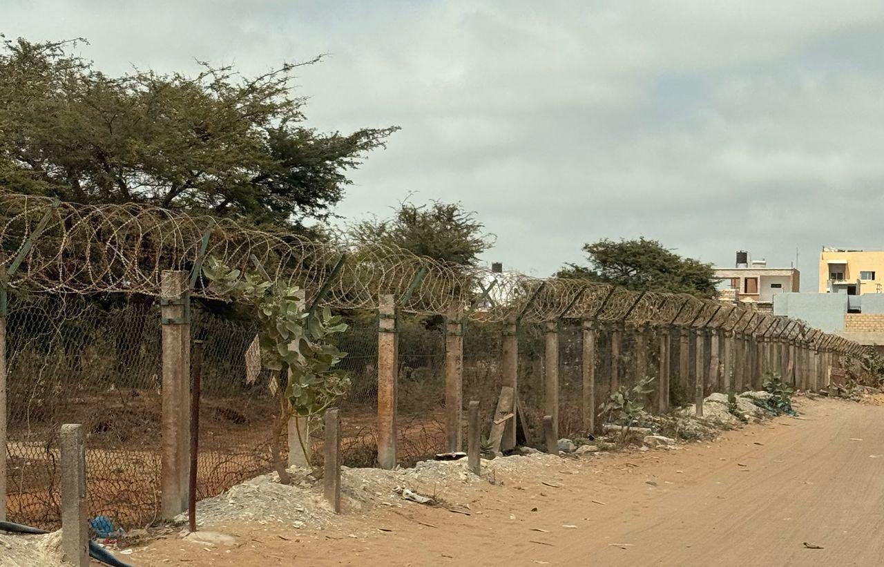 Rufisque : après le départ des militaires français, un poumon vert à préserver (Par Boubacar Kambel Dieng)