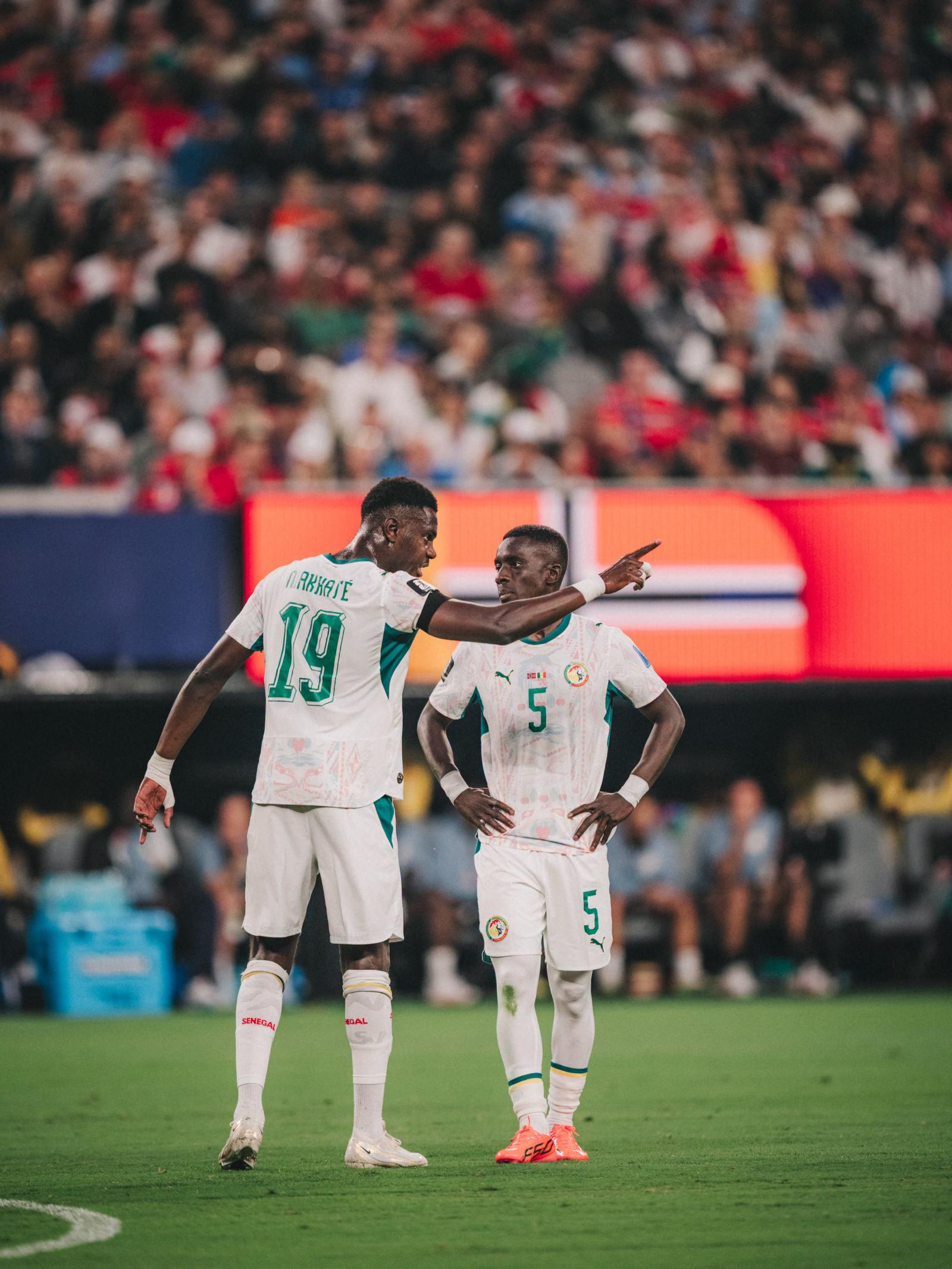 Coupe du monde 2026 : ces scénarios possibles pour les Lions