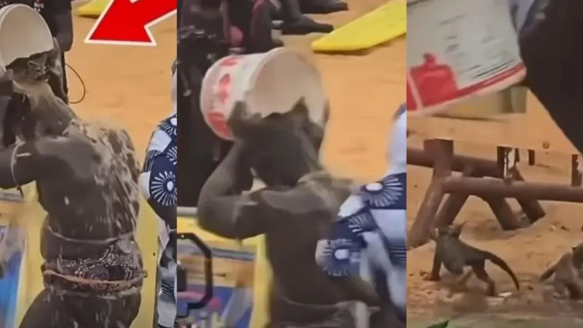 LUTTE : Reug Reug suspendu par la Fédération sénégalaise de lutte (DOCUMENT)